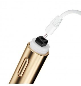 MizzZee - Pleasure Anal Vibrating Wand (Chargeable - Champagne Gold)